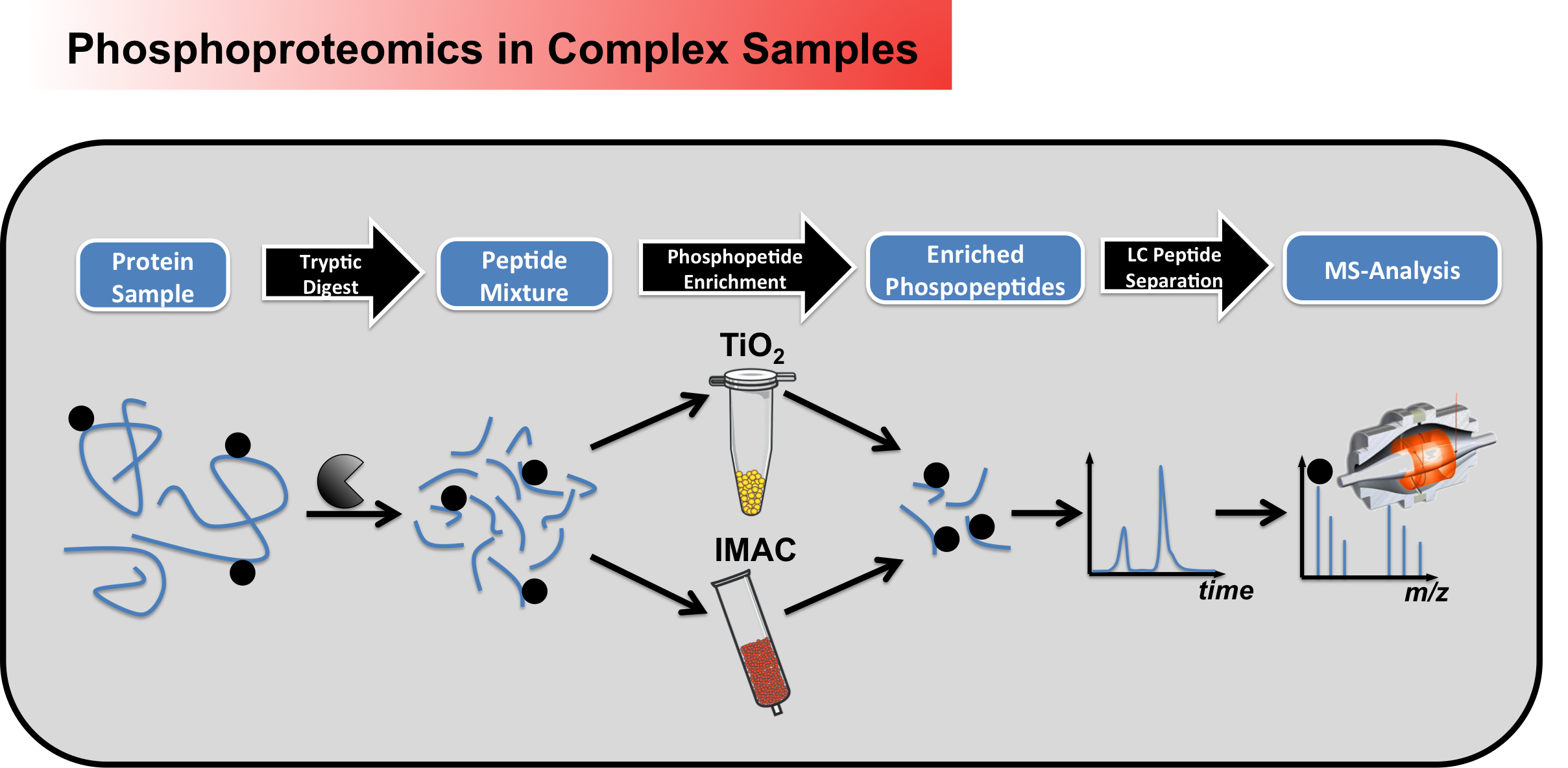 phospho complex sample