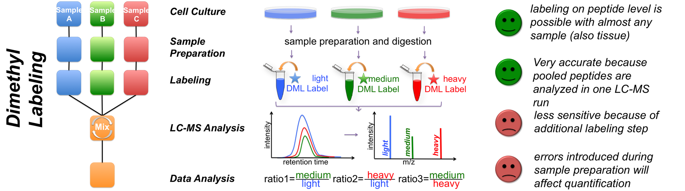 dml workflow