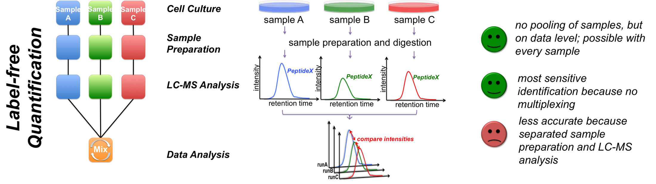 LFQ experiment workflow