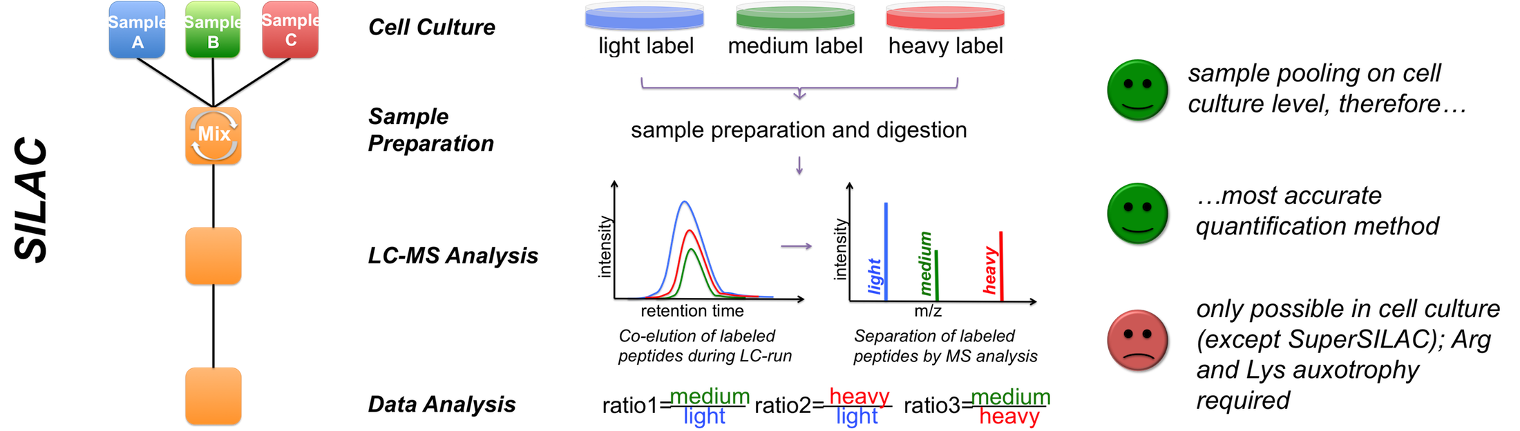 silac scheme