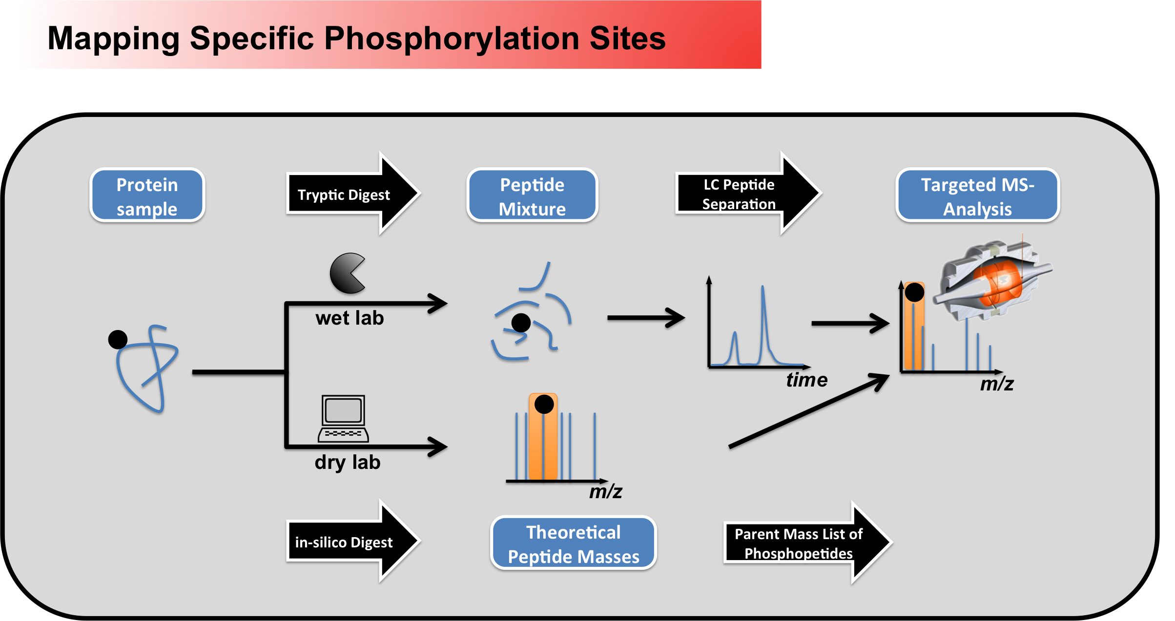 phosphosite targeted