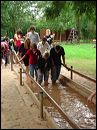 dsc02775
