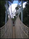 img_6761