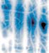 cracked2d