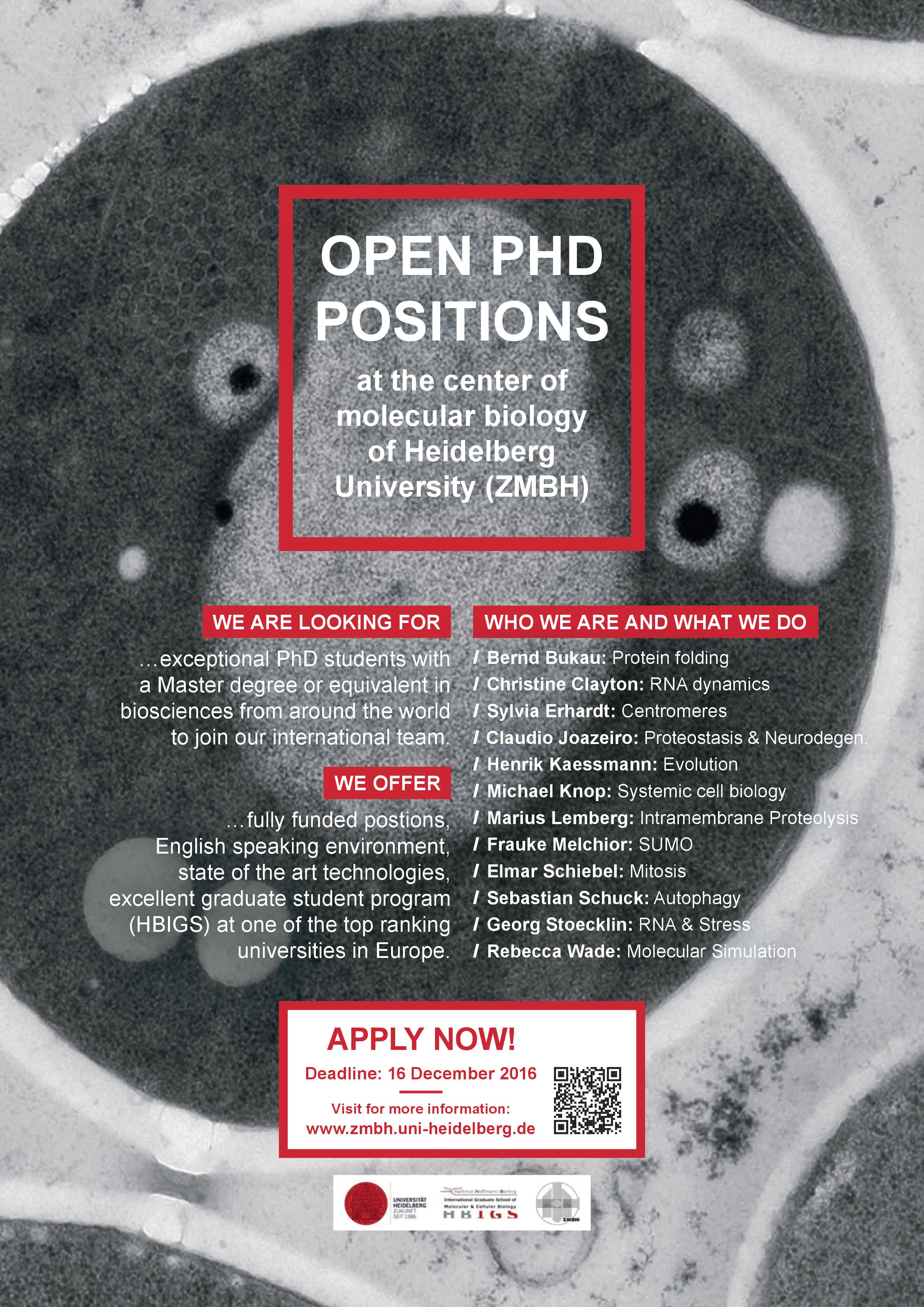 phd positions theoretical chemistry